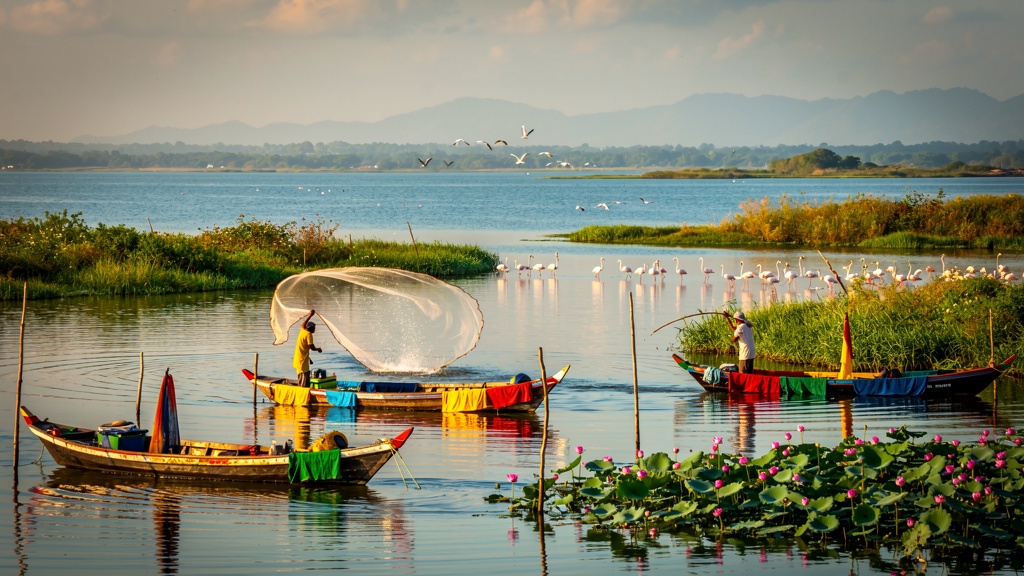 Chilika Lake near Brahmapur with boats and migratory birds